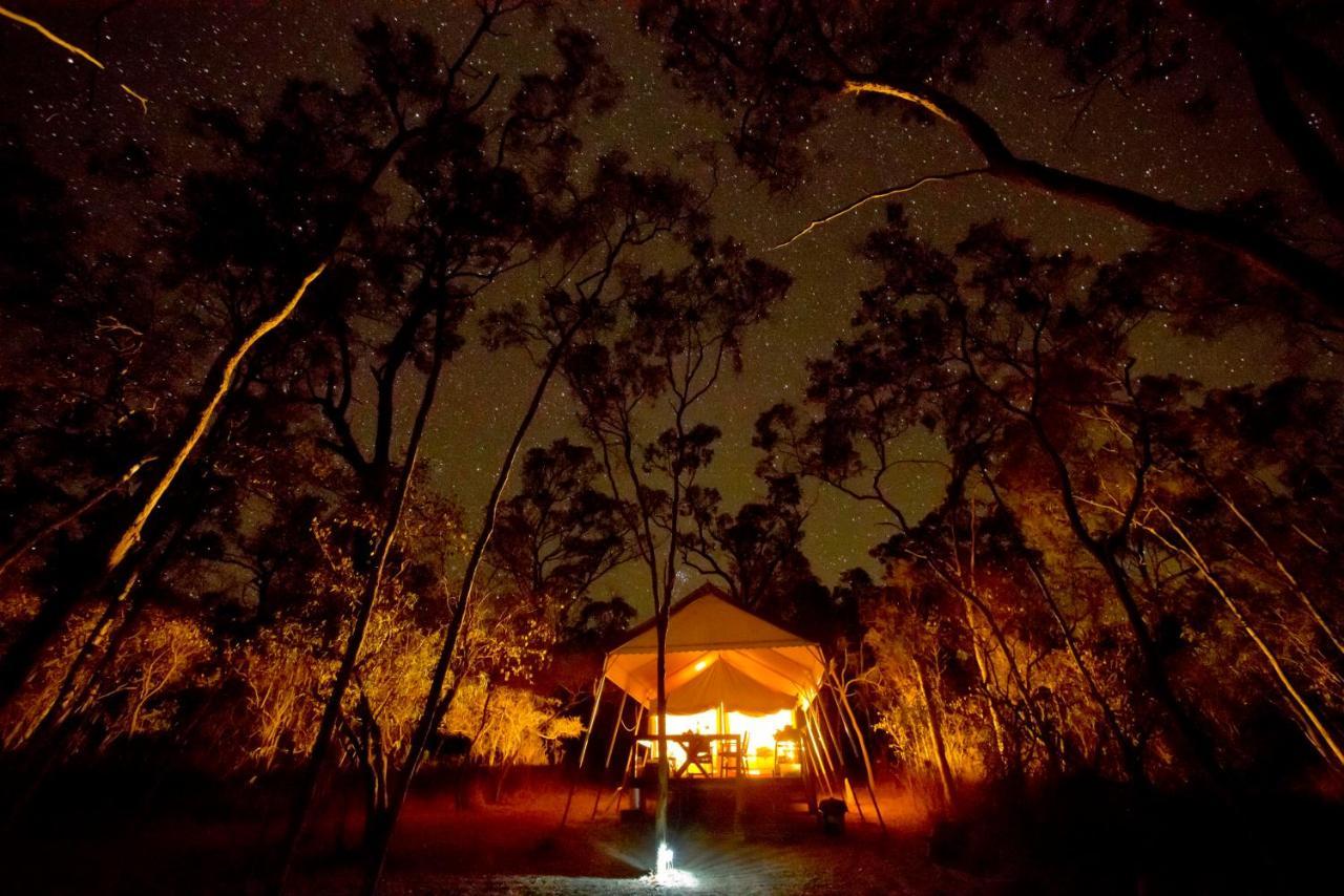 Wild Nature Lodge, Mareeba Wetlands Biboohra Экстерьер фото