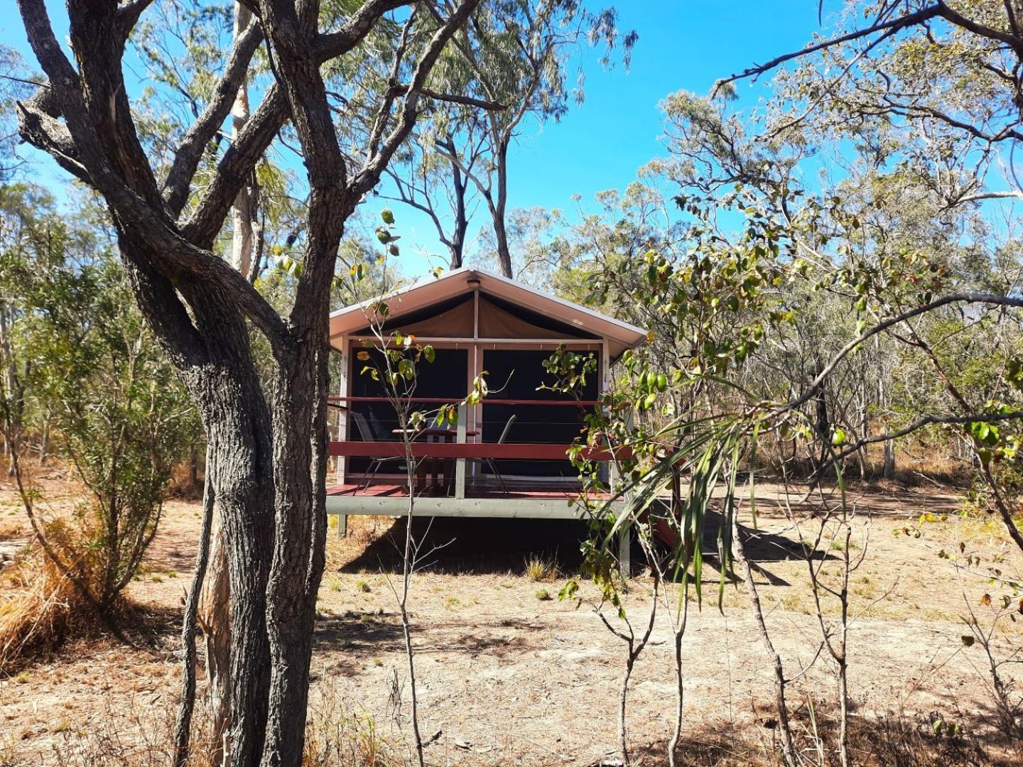 Wild Nature Lodge, Mareeba Wetlands Biboohra Экстерьер фото